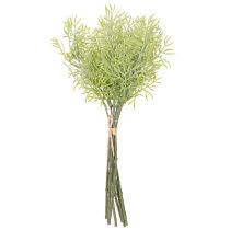 Artículo Rama de espárrago ornamental, complemento natural para ramas de flores, 34 cm, 7 piezas