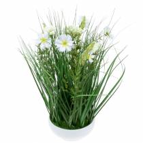 Artículo Hierba decorativa con flores de Cosmea en un cuenco H45cm