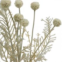Hierbas secas pampas grass artificial crema allium, beige Al. 60 cm