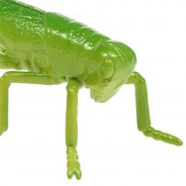 Artículo Saltamontes verde 11cm 1 pieza