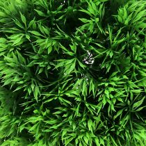 Artículo Bola de hierba bola decorativa verde plantas artificiales redonda Ø18cm 1ud