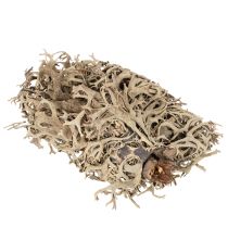 Artículo Musgo decorativo, musgo gris para manualidades, 500 g
