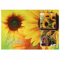 Bono girasol con sobre 5pcs