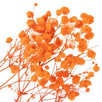 Artículo Ramo de flores secas de paniculata (Gypsophila) de 75 cm y 100 g.