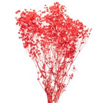 Artículo Ramo de gypsophila seca (75 cm, 100 g)