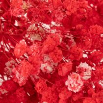 Artículo Ramo de gypsophila seca (75 cm, 100 g)