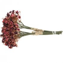 Artículo Gypsophila flores artificiales rojas otoño 29,5cm 18uds