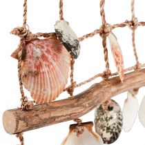 Artículo Decoración colgante red de pesca marítima decoración conchas 50x32cm
