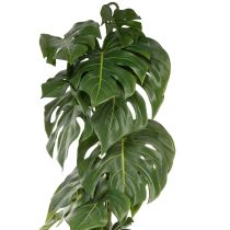 Artículo Monstera artificial con follaje grande para acentos elegantes en la sala de estar 120 cm