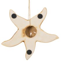 Artículo Adorno de estrella de mar de cerámica para colgar, para un toque marinero, decoración veraniega para el hogar, 12 cm, 2 piezas