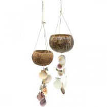 Cuenco de coco con cáscaras, cuenco de plantas naturales, coco como cesta colgante Ø13,5/11,5cm, juego de 2