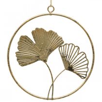 Artículo Decoración de ginkgo percha dorada decoración de metal vintage Ø16cm 3 piezas