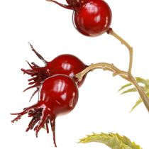 Artículo Ramas decorativas artificiales de escaramujos con 7 frutos rojo oscuro 48cm