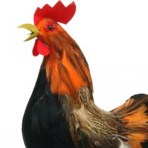 Gallo decorativo con plumas Figura decoración Pascua gallo de granja 36cm