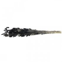Artículo Hierba de cola de liebre Lagurus, negra, decorativa, seca, 60 cm, 50 g