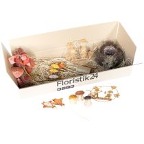 Artículo Set de decoración otoñal: erizo, setas y dragón. Comprar caja decorativa a buen precio.