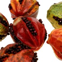 Frutas de otoño 3,5 cm rojo, marrón 24 piezas
