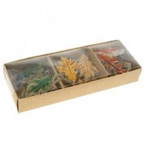 Artículo Hojas decorativas de madera para colgar decoración colorida de otoño 6,5×4cm 12pcs