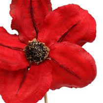 Artículo Flor de madera como tapón rojo Ø9cm - 12cm L45cm 15 piezas