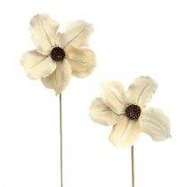 Artículo Flor de madera como tapón, blanqueada Ø9-12cm L45cm 15 piezas