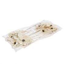 Artículo Flor de madera como tapón, blanqueada Ø9-12cm L45cm 15 piezas