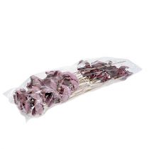 Artículo Flor de madera, taza de palma mezcla rosa-erika 25 uds