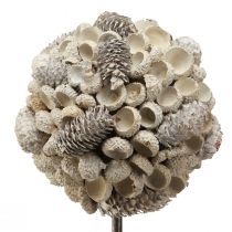 Artículo Árbol decorativo de madera decoración de invierno conos de bellotas de abedul blanco Al. 40 cm