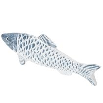 Artículo Pez de madera en azul y blanco, decoración de pez, harina de madera, 35 cm, 1 pieza