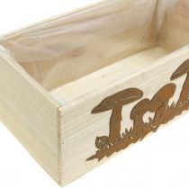 Artículo Juego de maceteros, cajas de madera con setas, decoración otoñal, acero inoxidable L40 / 30cm, juego de 2