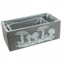 Artículo Caja de madera set seta venenosa, decoraciones de otoño, decoraciones de jardín, cajas de plantas L40 / 30cm, juego de 2