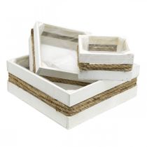 Artículo Caja para plantas de madera blanca con caja de cuerdas para plantar 15/20/30cm juego de 3
