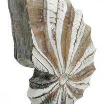 Soporte de caracola de madera deco marítimo natural, blanco Al. 28 cm