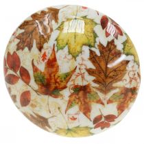 Artículo Seta de madera deco hojas de otoño blanco, colorido decoración otoñal Ø13cm H19cm