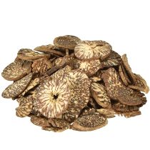 Artículo Discos de madera decorativos de nuez de betel en rodajas de areca 1-3,5 cm 300 g