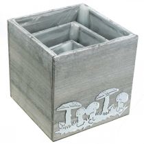 Artículo Cubos de madera con setas, decoración otoñal, macetero 20/16/12 cm, juego de 3