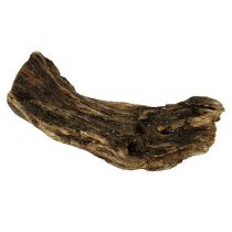Raíz de madera naturaleza 6cm-13cm 500g