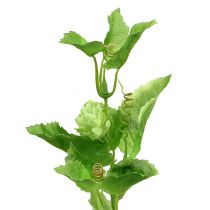Artículo Rama de lúpulo 70cm verde 2 piezas planta artificial