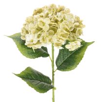 Artículo Flor de hortensia artificial con tallo largo y hojas, 60 cm.