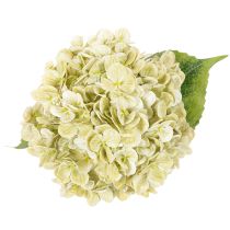 Artículo Flor de hortensia artificial con tallo largo y hojas, 60 cm.