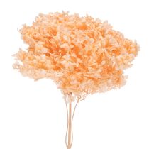 Artículo Ramo de flores secas de hortensias para elegantes decoraciones florales en el hogar, 65cm