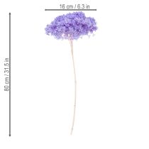 Artículo Flor de hortensia seca para un elegante diseño y decoración de interiores, 80 cm