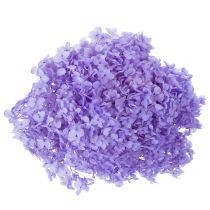 Artículo Flor de hortensia seca para un elegante diseño y decoración de interiores, 80 cm