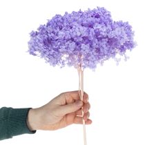 Artículo Flor de hortensia seca para un elegante diseño y decoración de interiores, 80 cm