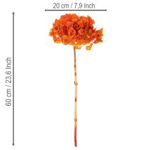 Artículo Hortensia preservada y teñida, flor grande con tallo largo, 60 cm.