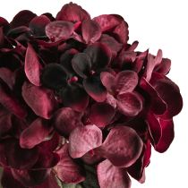 Artículo Hortensia artificial Burdeos 52cm