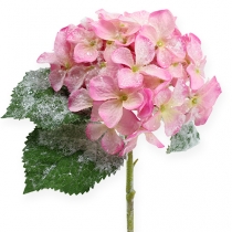 Hortensia rosa con efecto nieve 25cm