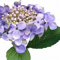 Artículo Hortensia decorativa, flor de seda, planta artificial violeta L44cm