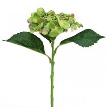 Hortensia artificial, decoración floral, flor de seda verde L44cm