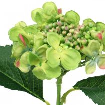 Artículo Hortensia artificial, decoración floral, flor de seda verde L44cm