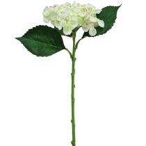 Artículo Hortensia, flor de seda, flor artificial para decoración de mesa blanco, verde L44cm
